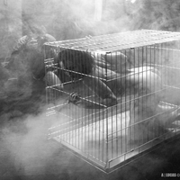 Ð¤Ð¾ÑÐ¾Ð³ÑÐ°ÑÐ¸Ð¸ Ð½Ð° ÑÑÐµÐ½Ðµ ÐÐ½Ð´ÑÐµÑ_203-ktlHUHT0D3GQCzwXXOBpev6Io5r91cBv.jpg